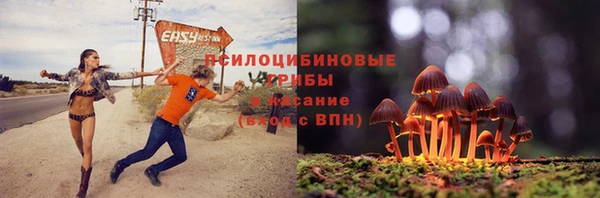 круглые Бородино