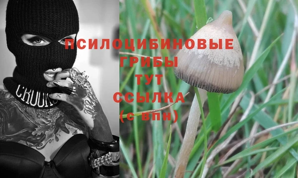 амф Бугульма