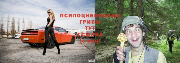 амф Бугульма